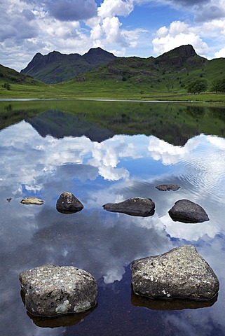 Blea Tarn and Langdale Pikes, Lake District National Park, Cumbria, England, United Kingdom, Europe