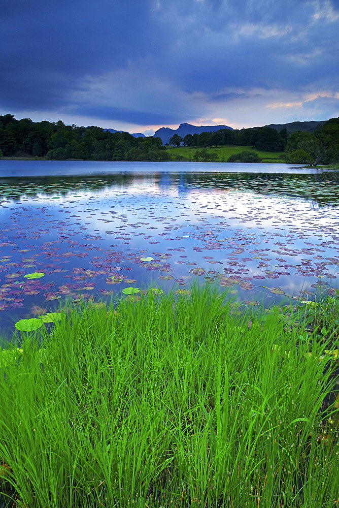 Loughrigg Tarn, Lake District National Park, Cumbria, England, United Kingdom, Europe