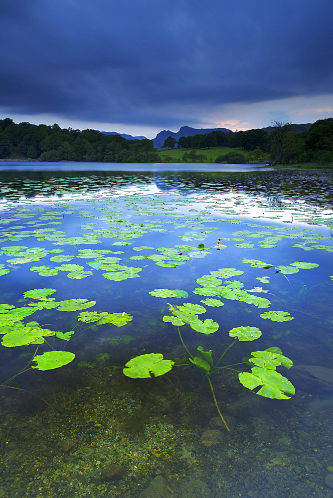 Loughrigg Tarn, Lake District National Park, Cumbria, England, United Kingdom, Europe