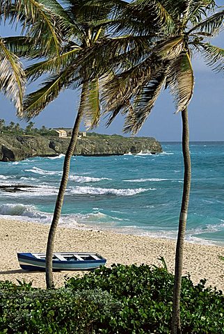 Sam Lords Castle, palms and beach, Barbados, West Indies, Caribbean, Central America