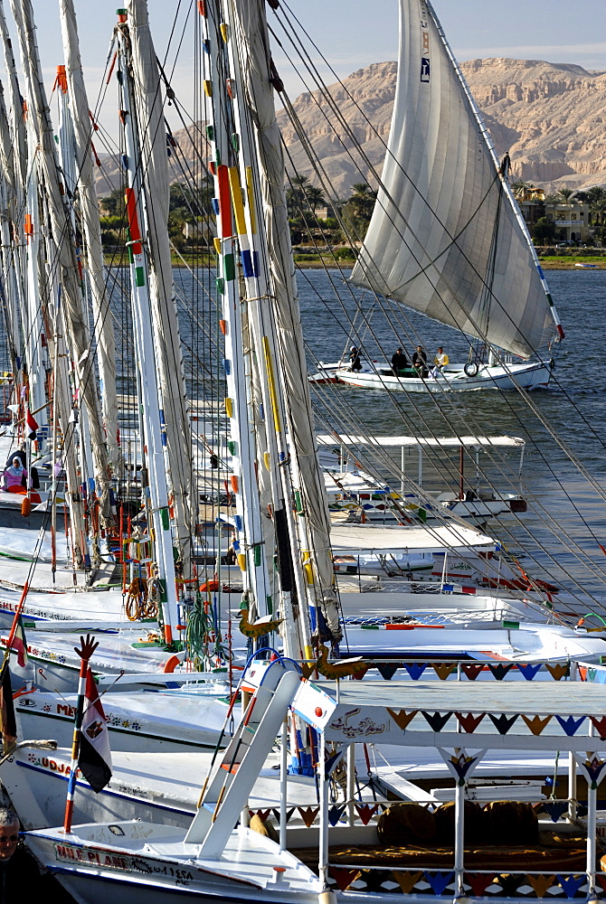 Fellucas on River Nile, Luxor, Thebes, Egypt, North Africa, Africa