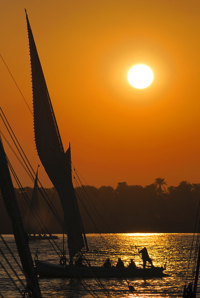 Feluccas on the River Nile, Aswan, Egypt, North Africa, Africa