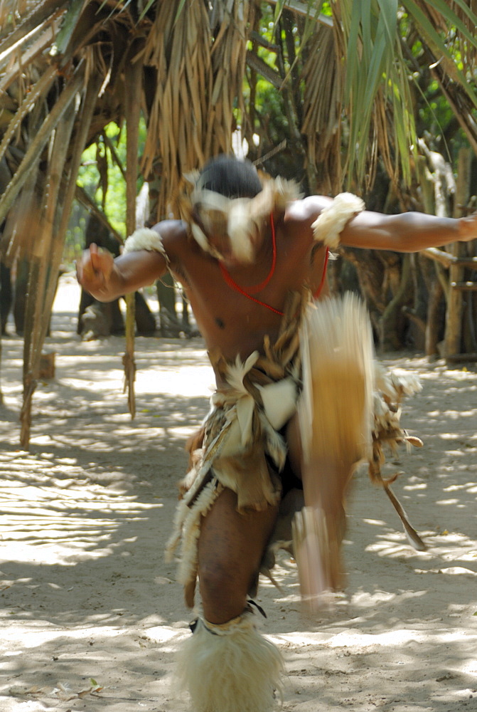 Zulu tribal dance group, Dumazula Cultural Village, South Africa, Africa