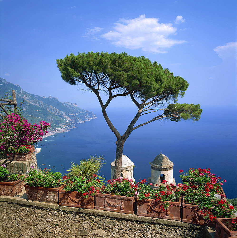 Garden of Villa Rufolo, Ravello, Amalfi Coast, UNESCO World Heritage Site, Campania, Italy, Europe