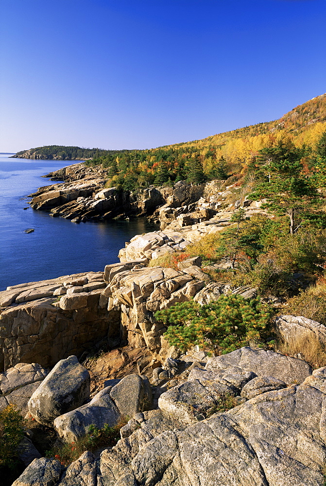 Coastline, Acadia National Park, Maine, New England, United States of America (U.S.A.), North America