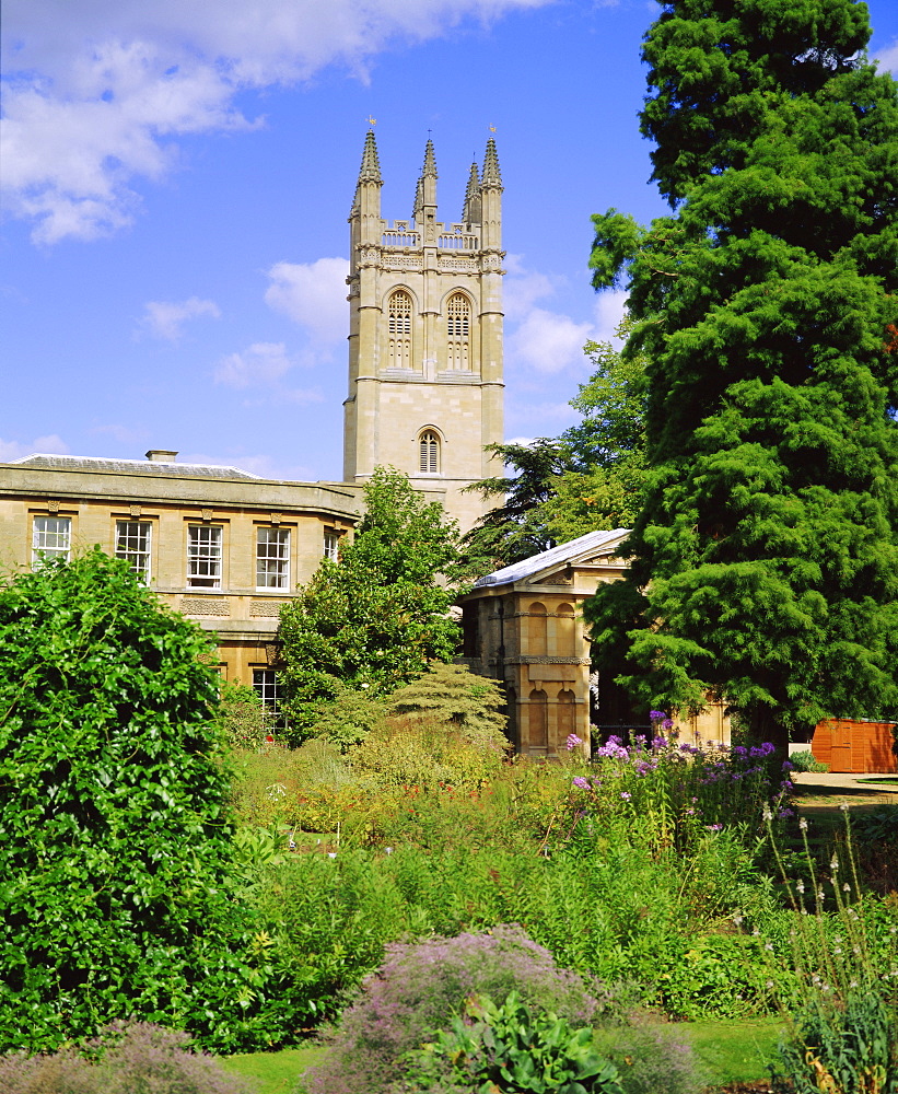 Magdalen College from Botanic Garden, Oxford, Oxfordshire, England, UK