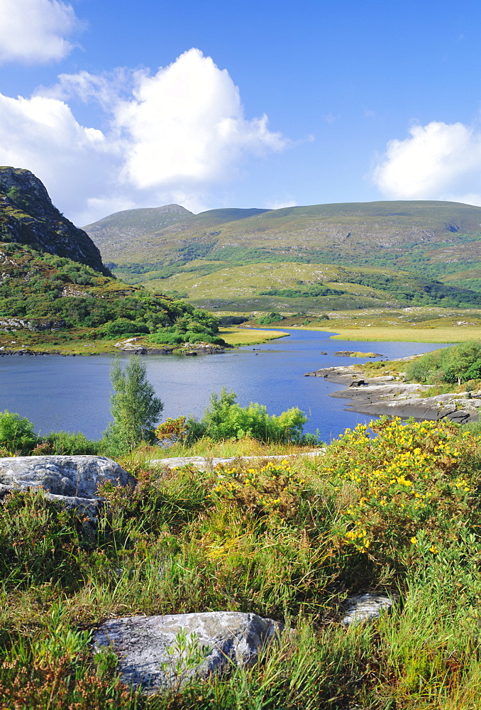 Ring of Kerry between Upper Lake and Muckross Lake, Killarney, County Kerry, Munster, Republic of Ireland (Eire), Europe