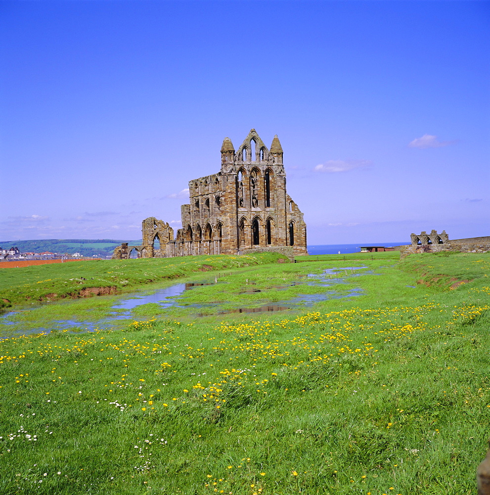 Whitby Abbey, Whitby, North Yorkshire, England, UK, Europe