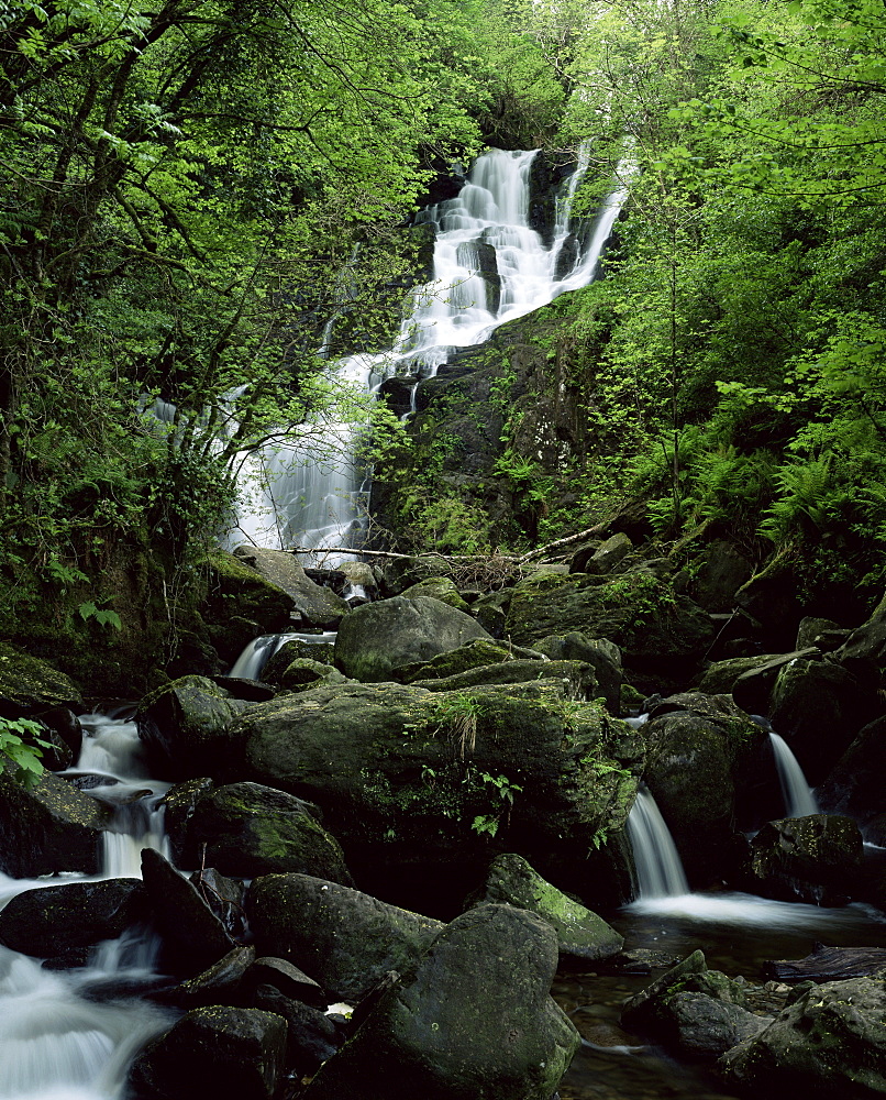 Torc Waterfall, Killarney, County Kerry, Munster, Eire (Republic of Ireland), Europe