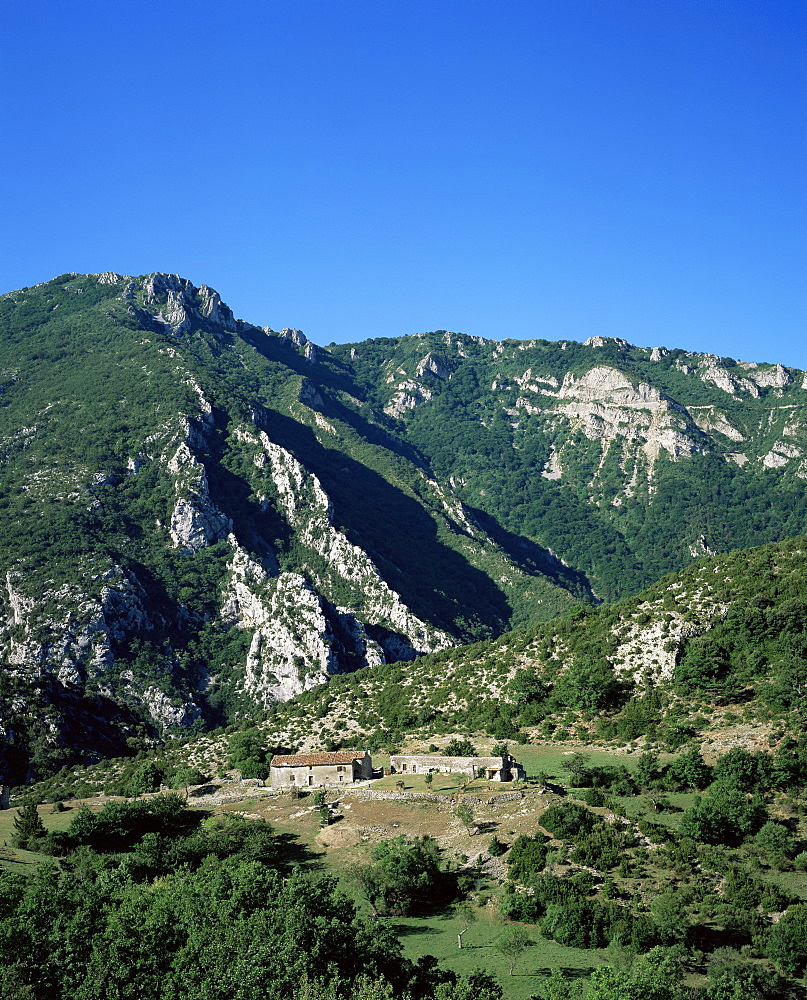 The Grand Canyon du Verdon, Alpes-de-Haute-Provence, Provence, France, Europe