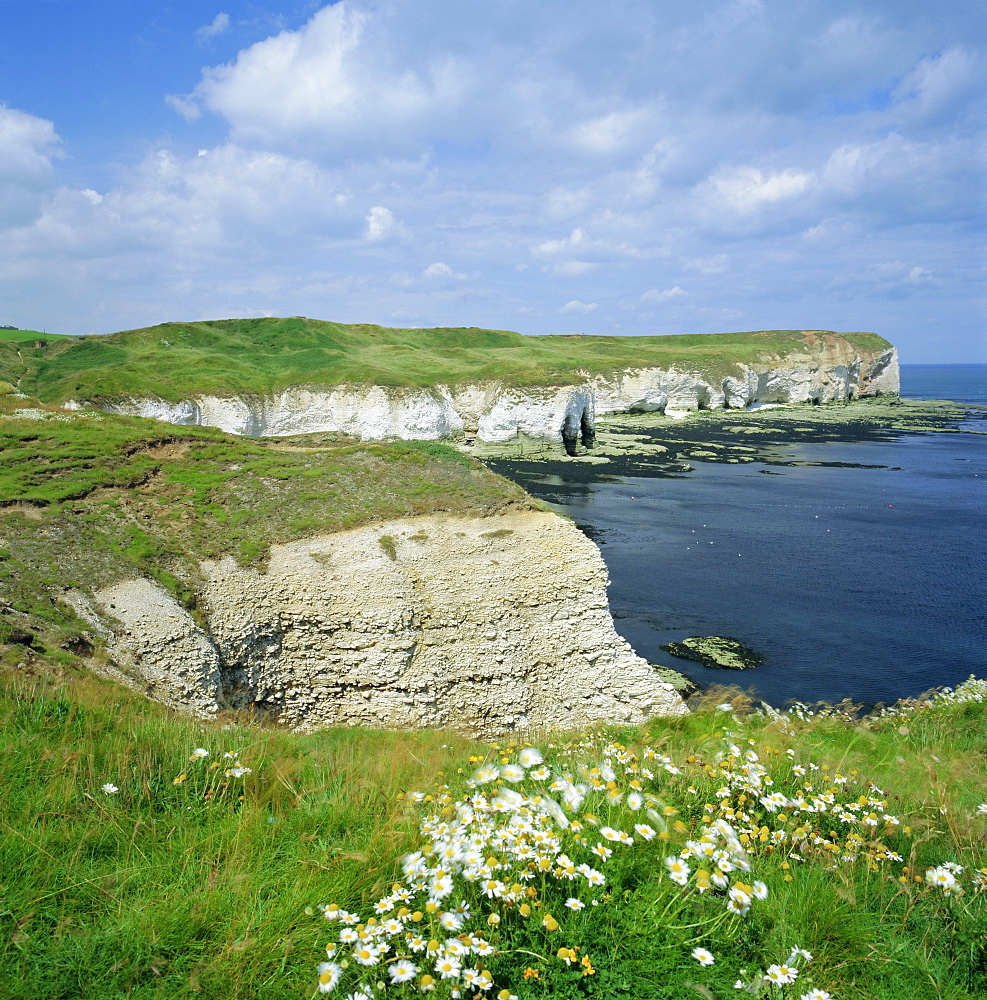 Selwicks Bay, Flamborough Head, coast of Humberside, England, UK, Europe