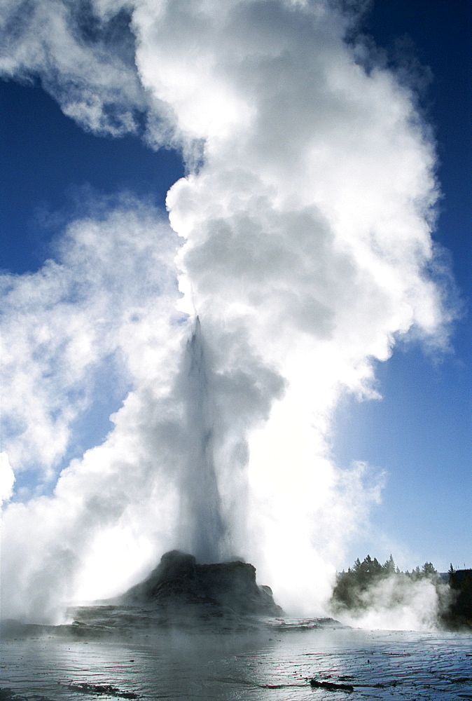 Castle Geyser, Upper Geyser Basin, Yellowstone National Park, UNESCO World Heritage Site, Wyoming, United States of America (U.S.A.), North America