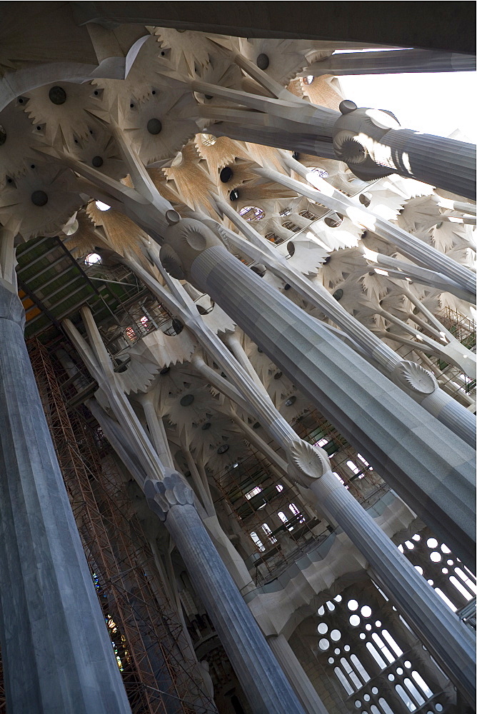 Interior with columns and windows, La Sagrada Familia church, Barcelona, Catalonia, Spain, Europe