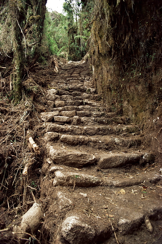 Steps on the Inca Trail, Peru, South America