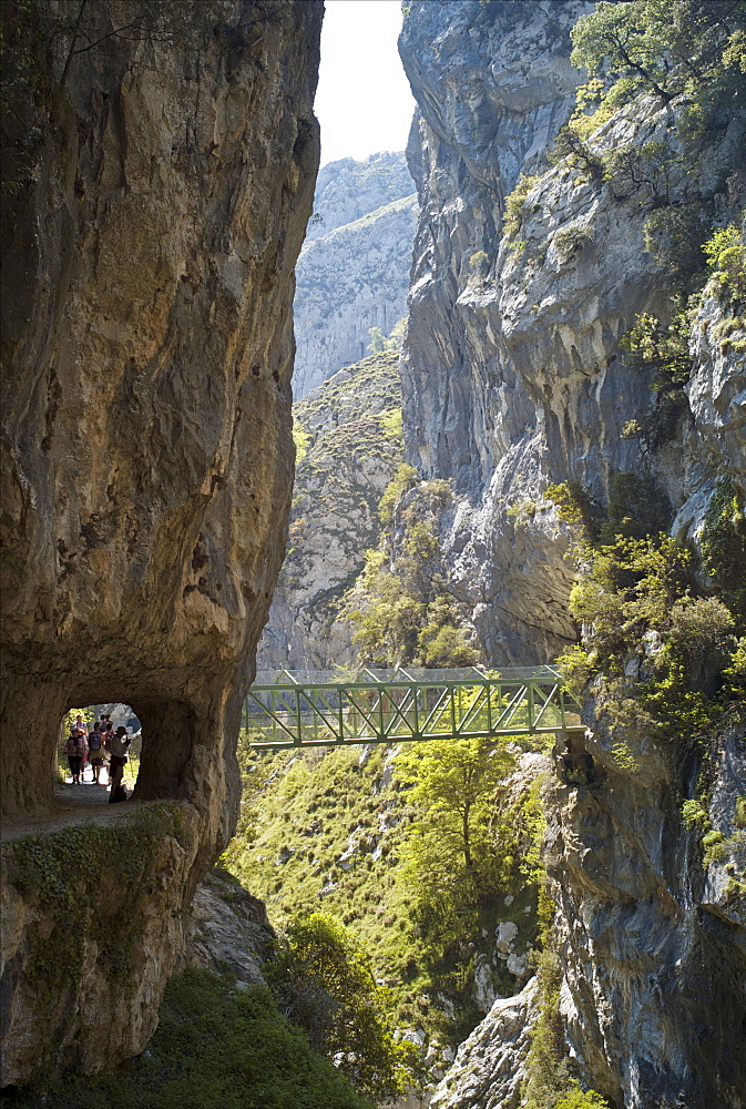 Footbridge over the Cares Gorge, Picos de Europa, Castilla y Leon, Spain, Europe