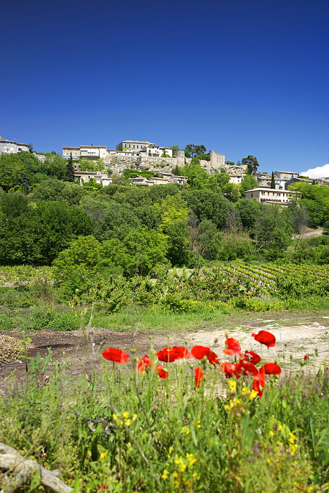 Manerbes, Petit Luberon, Provence, France, Europe