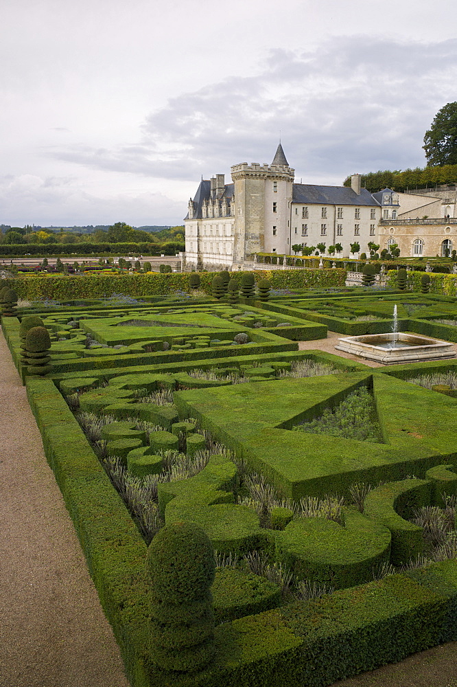 Gardens, Chateau de Villandry, UNESCO World Heritage Site, Indre-et-Loire, Touraine, Loire Valley, France, Europe