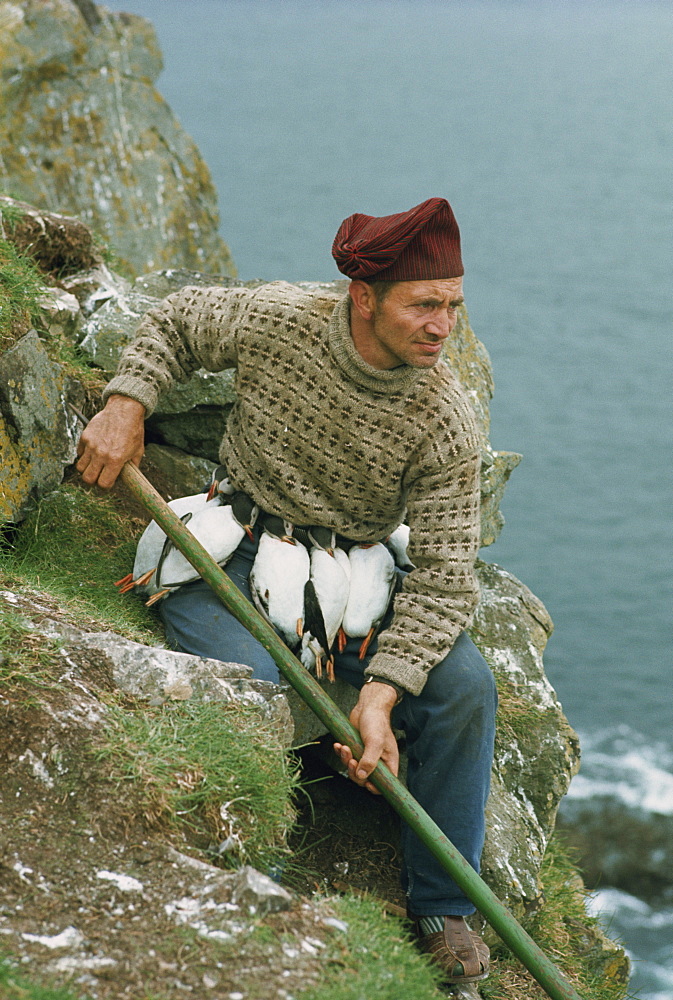 Portrait of a puffin catcher, with birds strung around his waist, Faroe Islands, Denmark, Atlantic, Europe