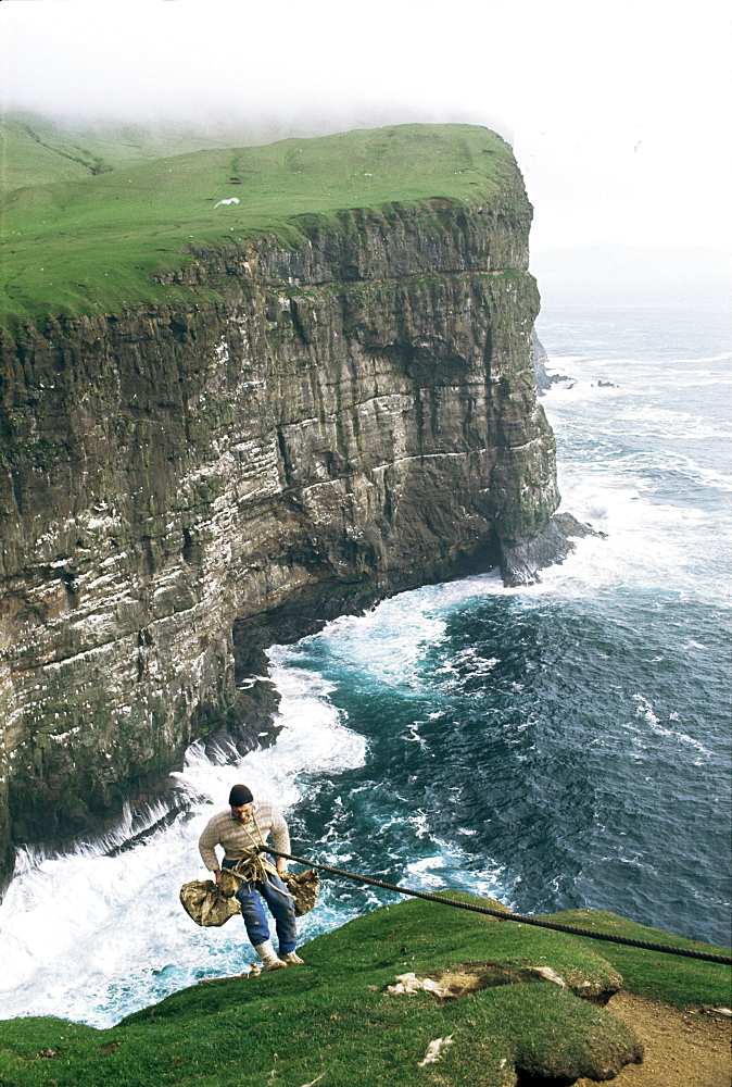 Collecting guillemot eggs, Faroe Islands (Faeroes), North Atlantic