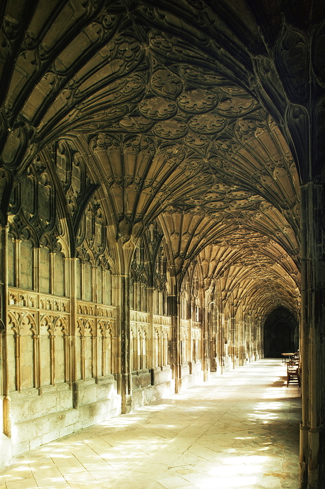 Gloucester Cathedral, Gloucester, Gloucestershire, England, United Kingdom, Europe