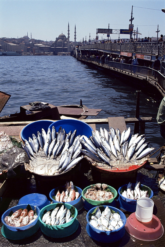 Fish market, Galata Bridge, Istanbul, Turkey, Europe, Eurasia