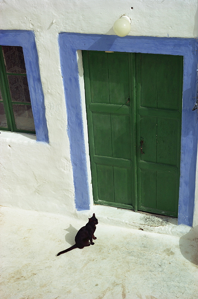 A small black cat waiting at a traditionally decorated doorway, Santorini (Thira), Cyclades Islands, Greek Islands, Greece, Europe