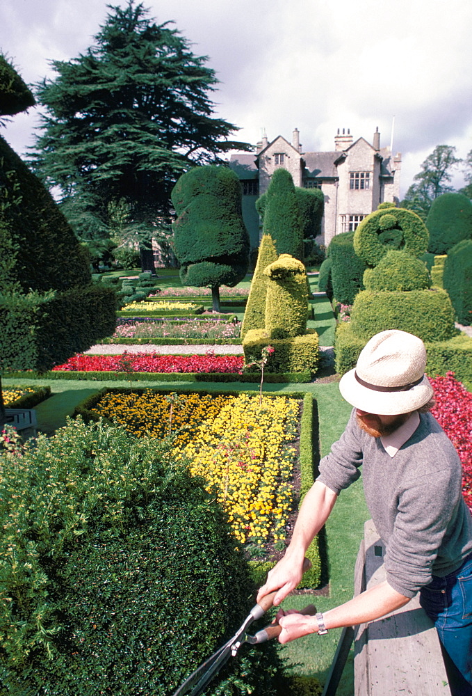 Topiary, Levens Hall, Cumbria, England, United Kingdom, Europe