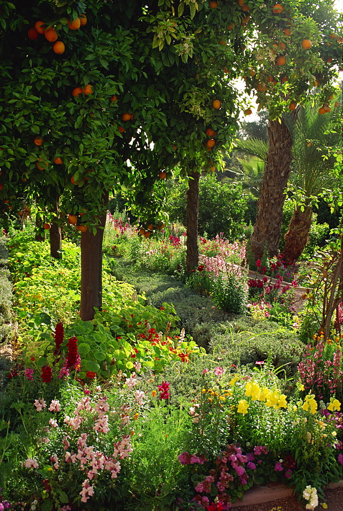 Garden of La Mamounia Hotel, Marrakesh, Morocco, North Africa, Africa