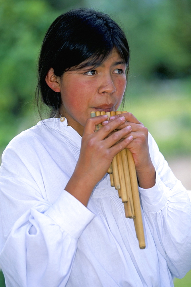 Playing the rondador or bamboo panpipe, Hacienda Pinsaqui, north of Quito, Ecuador, South America