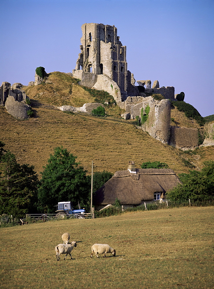 Corfe Castle, Dorset, England, United Kingdom, Europe