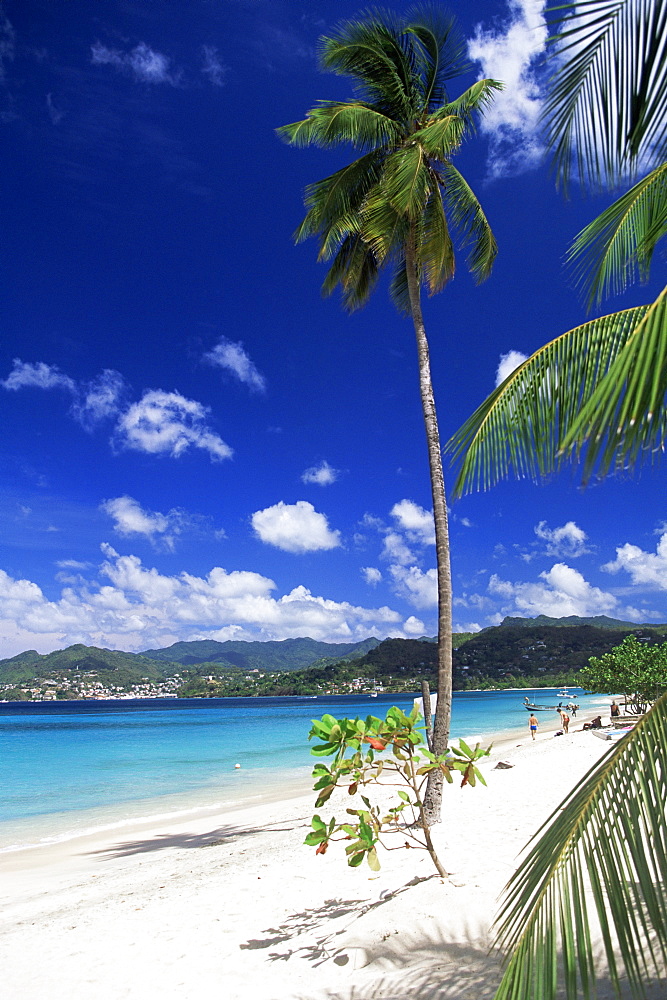 Grand Anse beach, Grenada, Windward Islands, West Indies, Caribbean, Central America