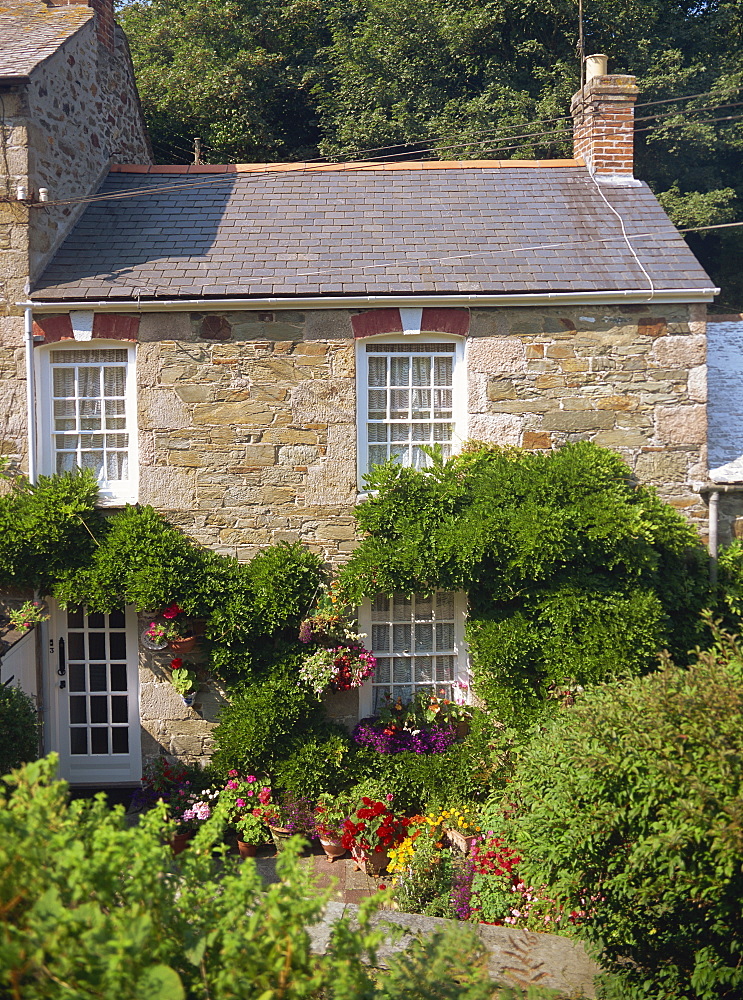 Stone cottage with summer flowers in the garden at St. Agnes, Cornwall, England, United Kingdom, Europe