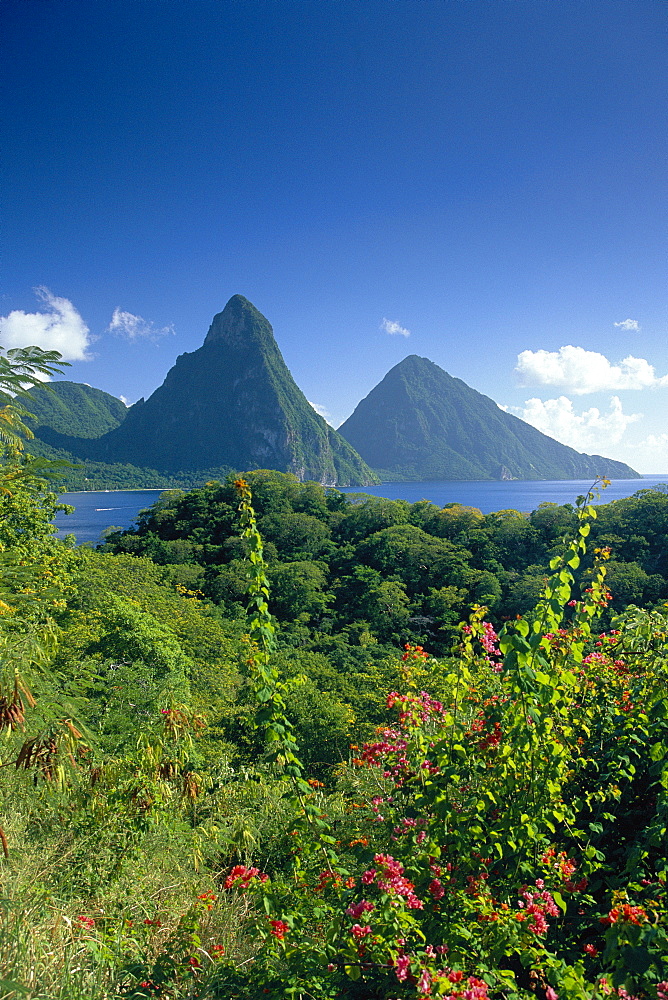 The Pitons, St.Lucia, Caribbean 