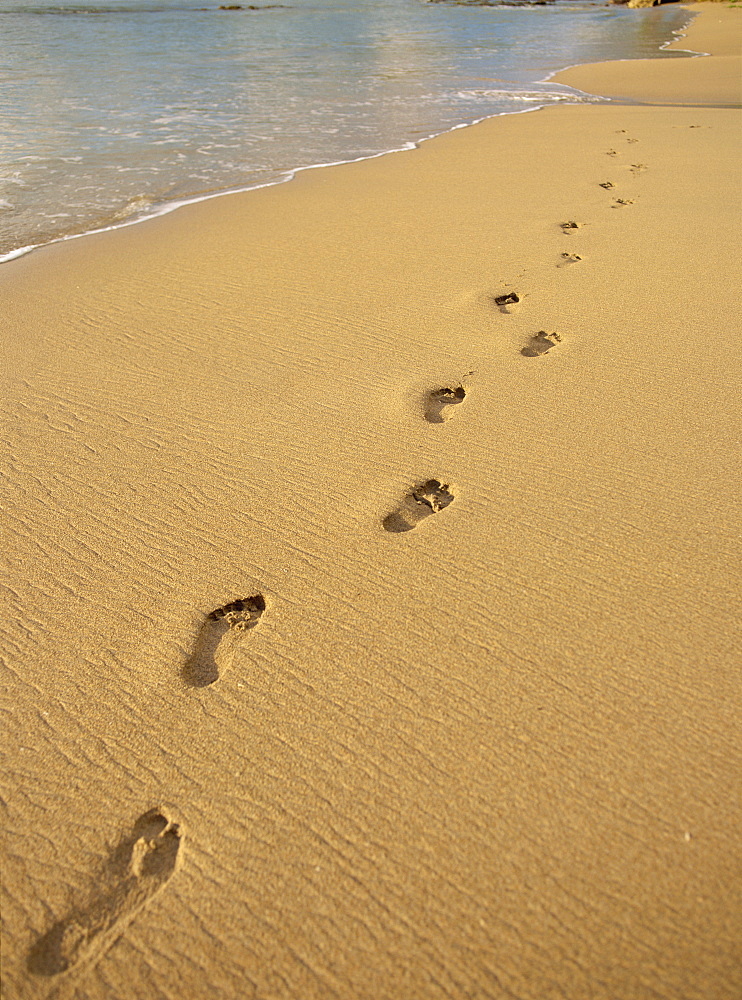 Footprints in the sand on a beach