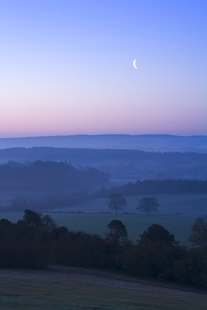 Misty dawn with moon, Newlands Corner, Surrey Hills, near Guildford, Surrey, England, United Kingdom, Europe