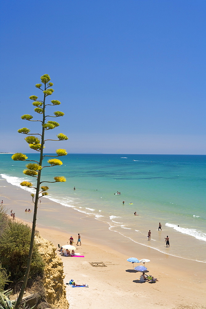 Conil de la Frontera, Costa de la Luz, Andalucia, Spain, Europe