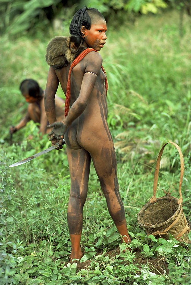 Xingu, Brazil, South America