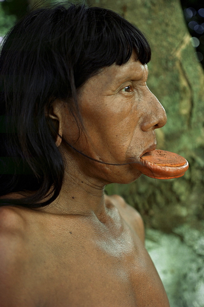 Suya with lip plate, Xingu, Brazil, South America