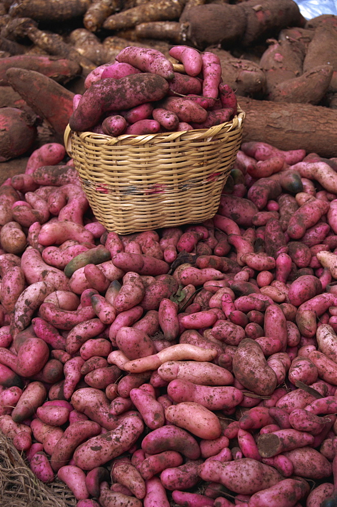 Potatoes for sale at market, Ipiales, Colombia, South America