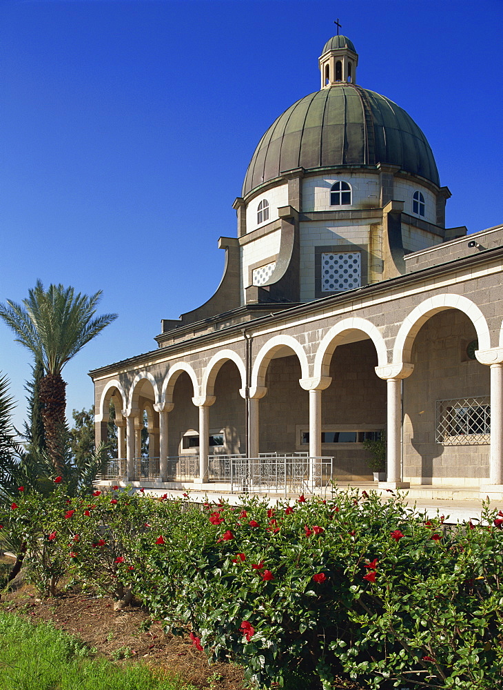 Red hibiscus in front of the Church on the Mount of Beatitudes, above the Sea of Galilee, Israel, Middle East