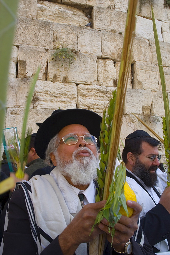 Jew wearing prayer shawl blessing the Lulav and Etrog (palm frond), Sukot (Festival of Booths), Western Wall, Jerusalem, Israel, Middle East