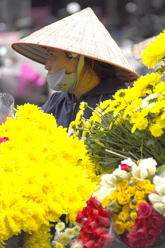 Woman wearing traditional hat and selling fresh cut flowers, Dong Xuan market, Hanoi, Vietnam, Southeast Asia, Asia