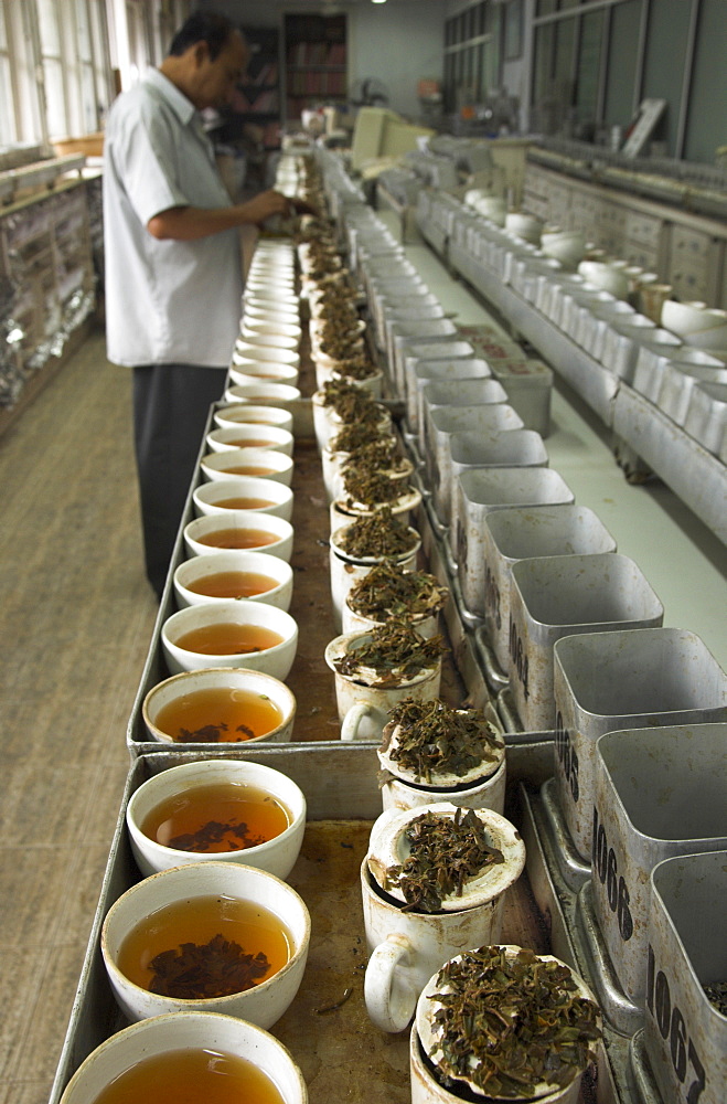 Tea cups being prepared for tasting, Tea tasting department, Carrit Moran & Company tea brokers, Kolkata, West Bengal state, India, Asia