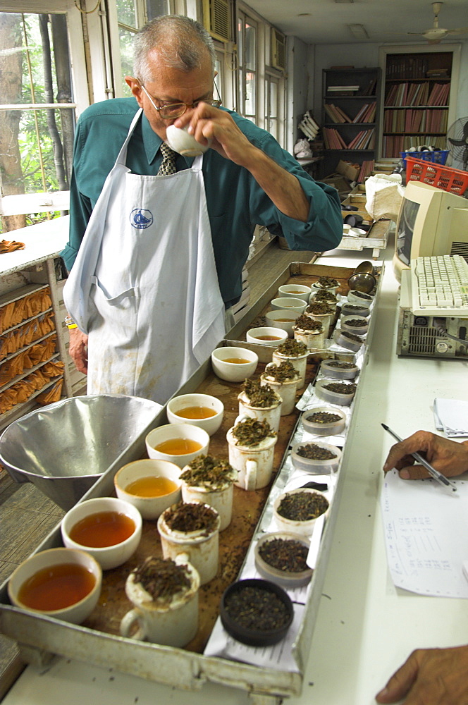 Ravi Kidwai, tea specialist, tasting and assessing tea, Carrit Moran & Company tea brokers, Kolkata, West Bengal state, India, Asia