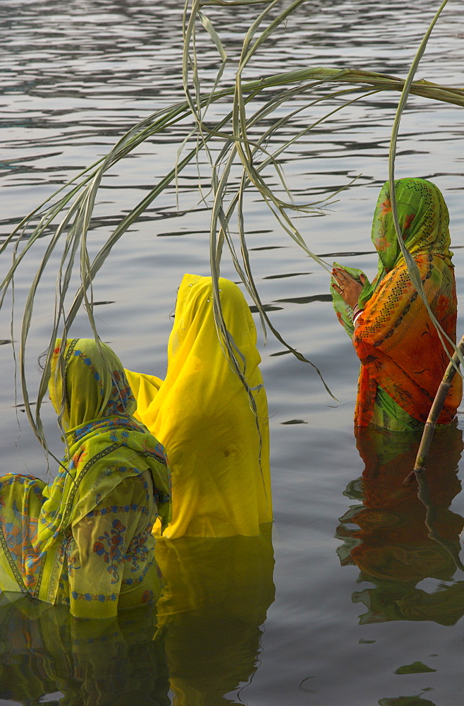 Three women pilgrims in saris making Puja celebration in the Pichola Lake at sunset, Udaipur, Rajasthan state, India, Asia