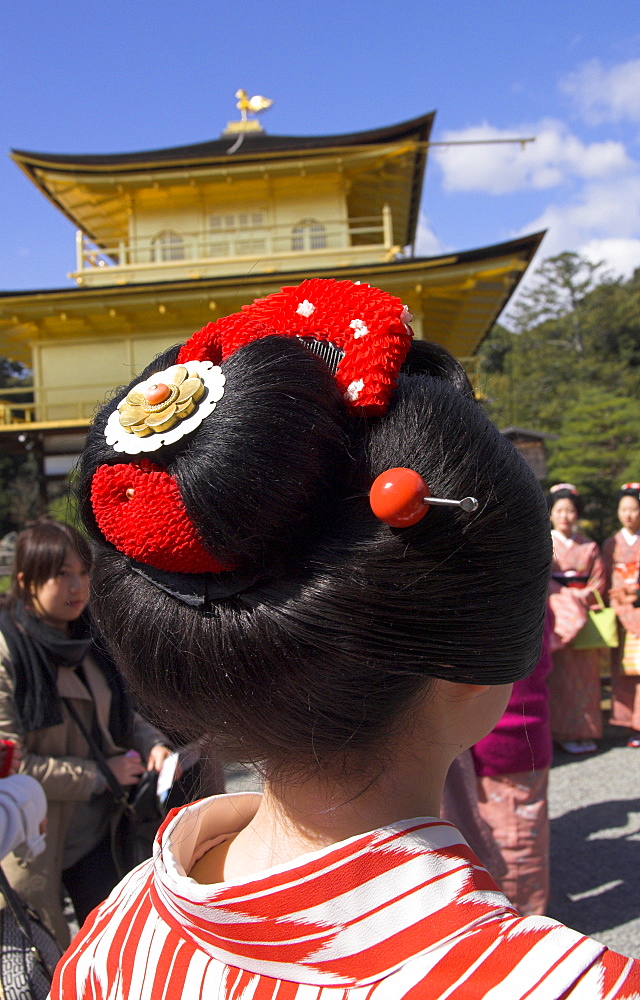 Portrait of a maiko from the back with traditional haircut looking at Golden Pavilion, Rokuon ji temple, Kinkaku ji, Kyoto, Kansai, Honshu, Japan, Asia