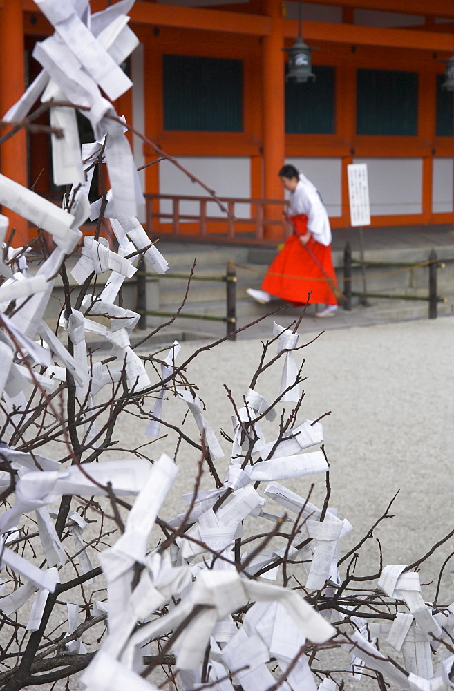 Fate and wish papers tied on bush branches in foreground with female priest in traditional red clothes beyond, Heian Jingu shrine, Kyoto, Kansai, Honshu, Japan, Asia