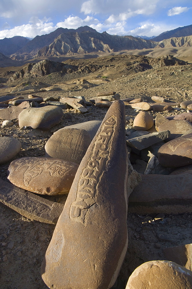 Close up of traditional carved prayer stones on a prayer wall at Alchi, with desert landscape and mountains in background, Ladakh, India, Asia