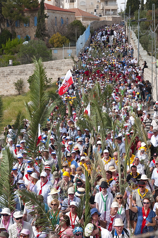 The Palm Sunday procession on its route from Betphage to Sainte Anne in the Old City through the Mount of Olives, Jerusalem, Israel, Middle East