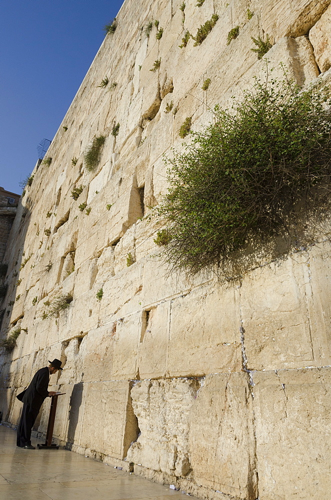 Orthodox Jew praying at the Western Wall, Old City, Jerusalem, Israel, Middle East